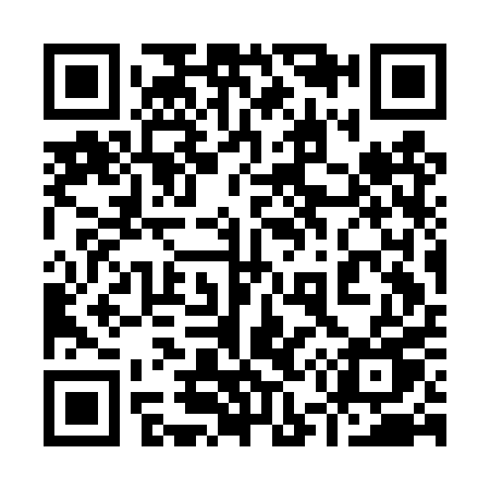 QR code for 953DPU