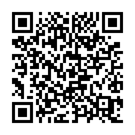 QR code for 953FIA