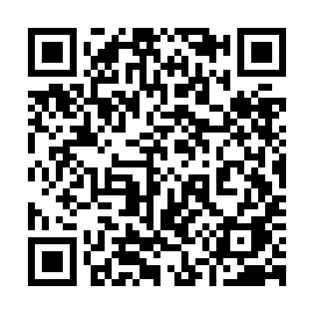 QR code for 953JIA