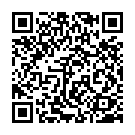 QR code for 953MCX