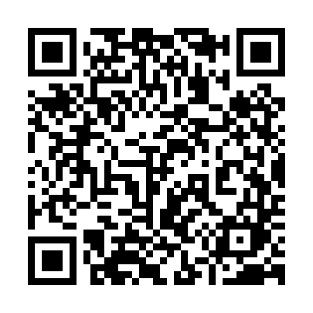 QR code for 953PTM