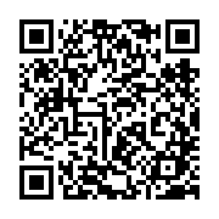 QR code for 953VLM