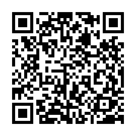 QR code for 955LDX