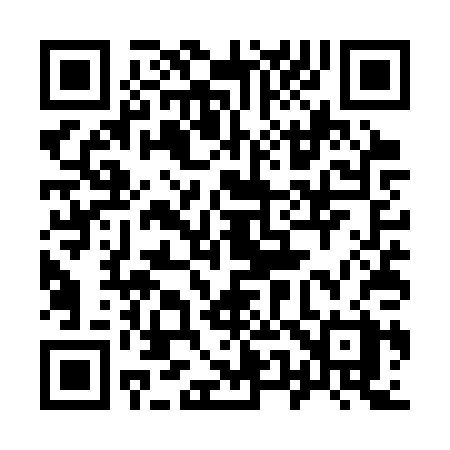 QR code for 955SPX