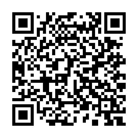 QR code for 956DFX