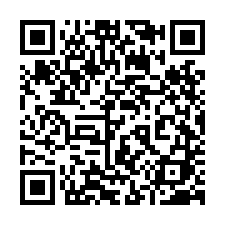 QR code for 956LDI