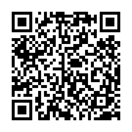 QR code for 960TFS