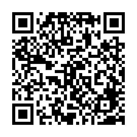QR code for 966CTF