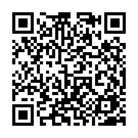 QR code for 991ARE