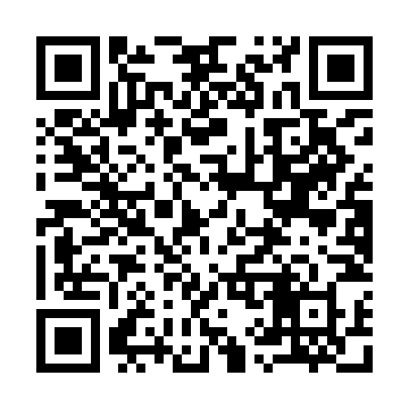QR code for 991INX