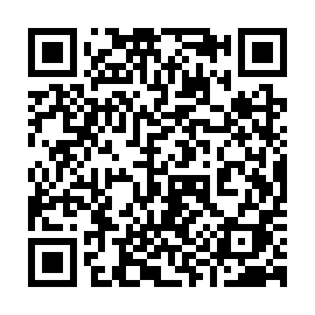 QR code for 991SPI