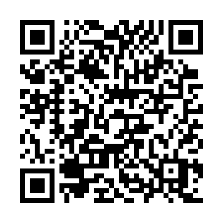 QR code for 991SPT