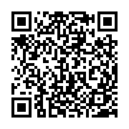 QR code for 991SUR