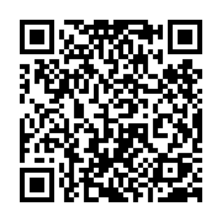 QR code for 991TCQ