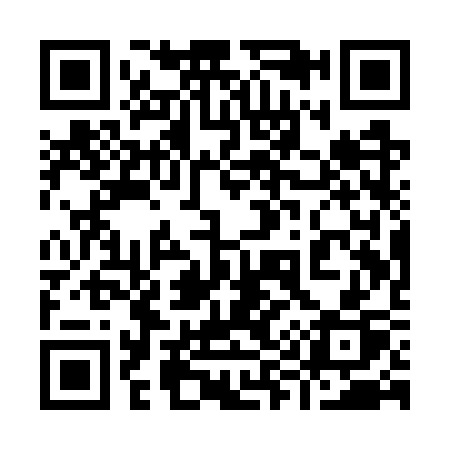 QR code for 991WSP