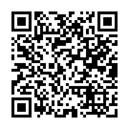 QR code for 993RFI