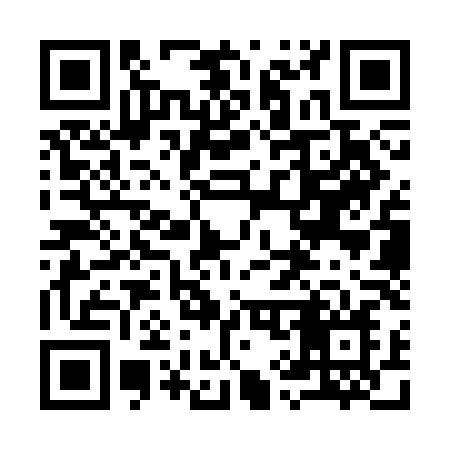 QR code for 993SLN