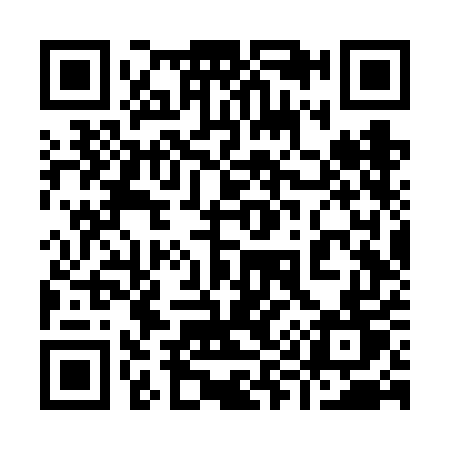 QR code for 996VET