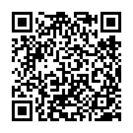 QR code for 999VMS