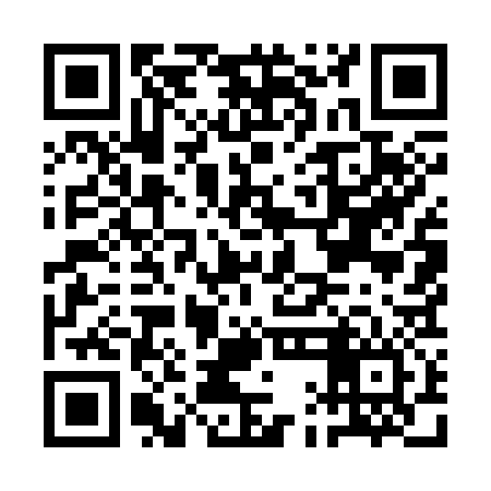 QR code for AAM336