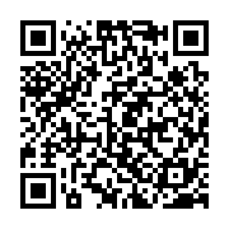 QR code for ACE335