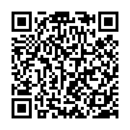 QR code for AEG411