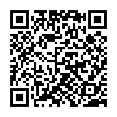 QR code for AIG538