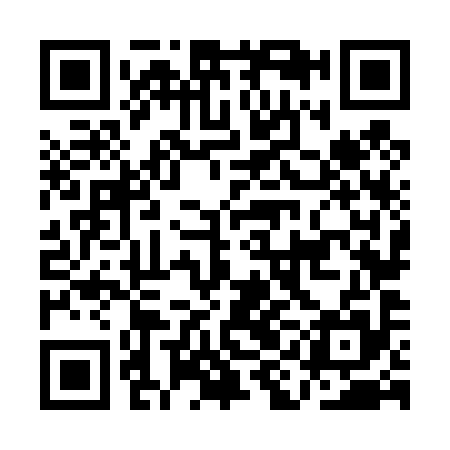 QR code for AIN495