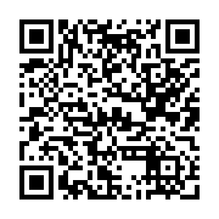 QR code for AMN951