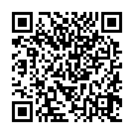 QR code for ANK388
