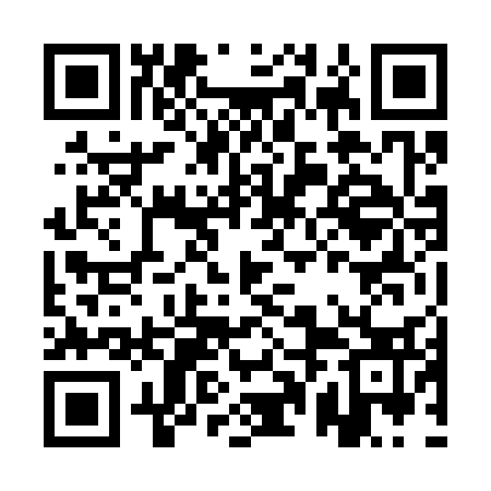 QR code for APN333