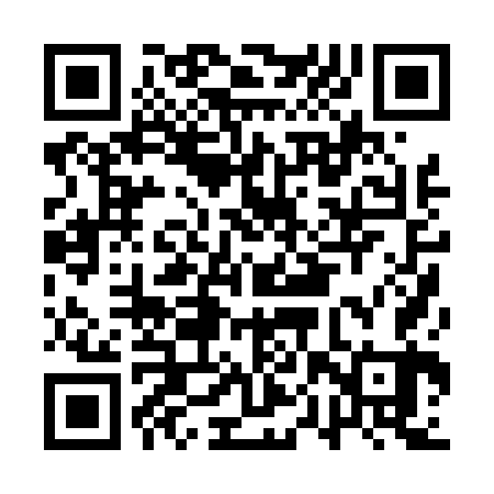 QR code for APP463