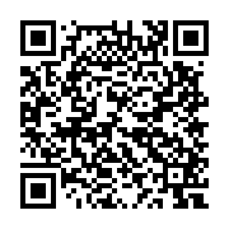 QR code for AYU541