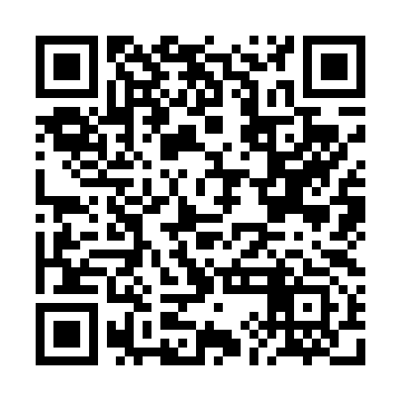 QR code for BIK493