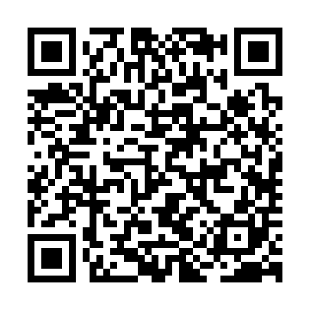 QR code for BIR300