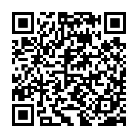 QR code for BIR600