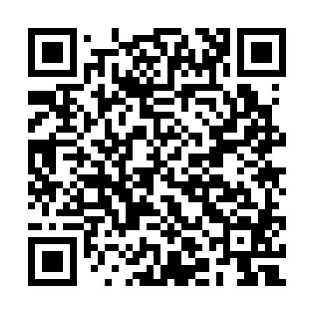 QR code for BLK384