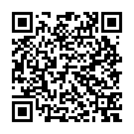 QR code for BLX370