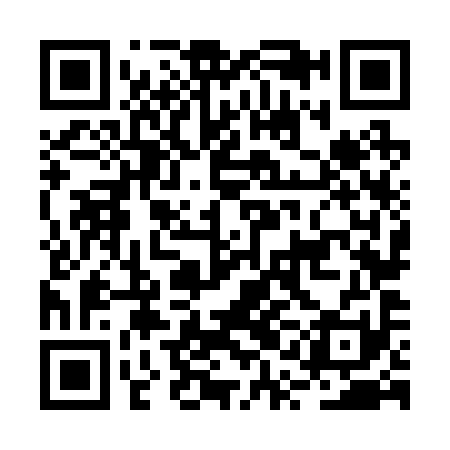 QR code for BQN291