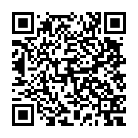 QR code for BSG433