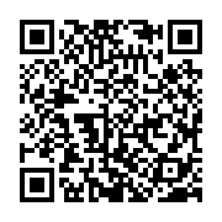 QR code for CAJ238