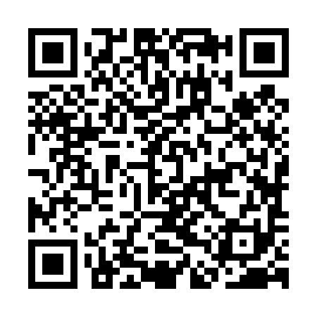 QR code for CDZ491