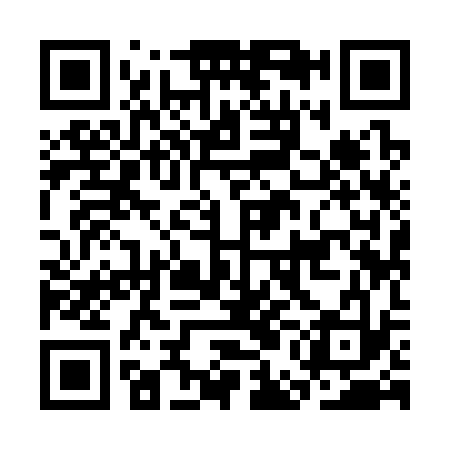 QR code for CEI333
