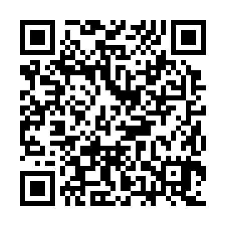 QR code for CER385