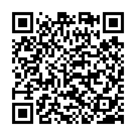 QR code for CFS638