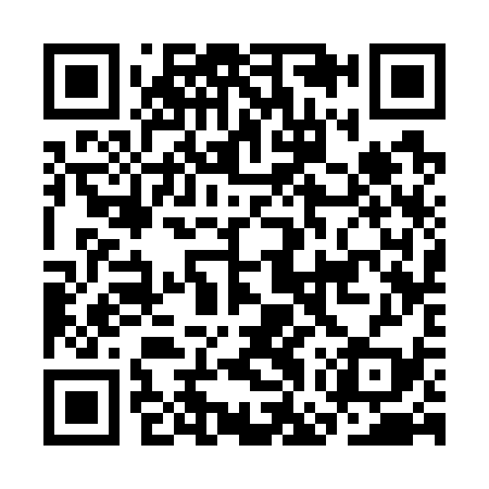 QR code for CGS739