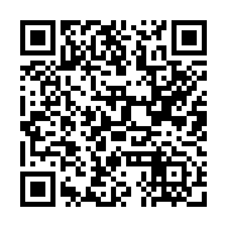 QR code for CHI353