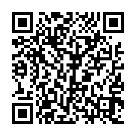 QR code for CHV413