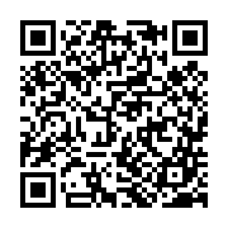 QR code for CIN447
