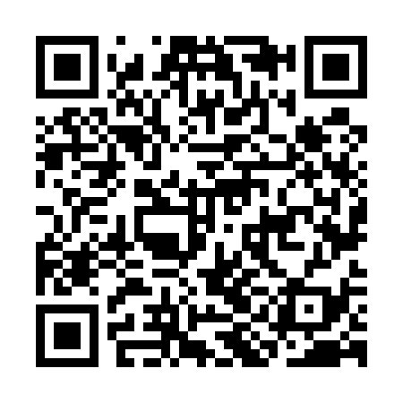 QR code for CIN539